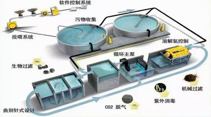 重磅!湖州市第一家國內(nèi)領(lǐng)先的工廠化循環(huán)水設(shè)施漁業(yè)養(yǎng)殖項(xiàng)目開工建設(shè)